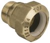 SCREW CONNECTION FOR PE-TUBES BRASS 32mm x 1" WITH MALE THREAD